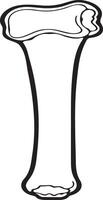 A simple bone outline illustration vector