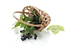 Scattered currant berries next to a basket photo