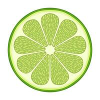 Fresh Lime Slice Illustration. The lime is segmented into symmetrical sections with a juicy texture and light green pulp. vector