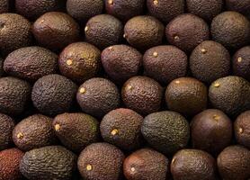 A close up shot of many dark avocados arranged in a grid pattern filling the entire frame view here photo