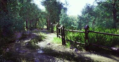 CGI Lush green pathway alongside wooden fence in serene forest setting video