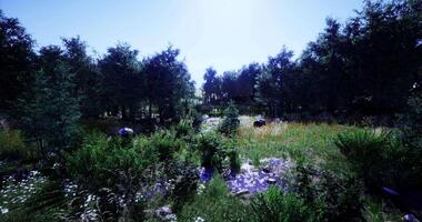 CGI Lush green landscape in bright sunlight with wildflowers and trees video