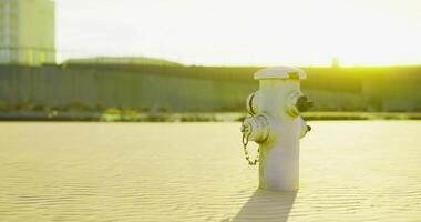 CGI Fire hydrant standing in sunlight near a cityscape during dawn video