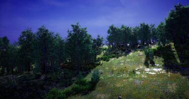 CGI Lush trees line the hillside under a vibrant twilight sky video