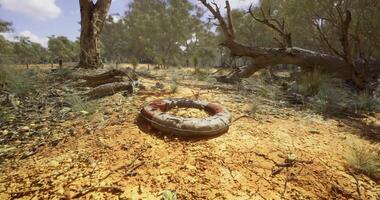 CGI Old life preserver resting on dry ground in abandoned outdoor area video