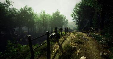 CGI Serene forest trail with wooden fence under soft morning light video