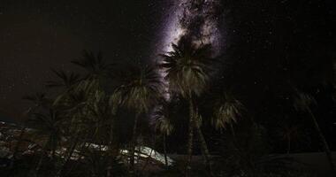 CGI Stunning night sky with Milky Way and palm trees in tranquil desert setting video