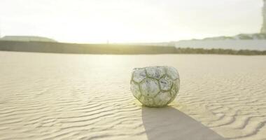 CGI Soccer ball resting on sandy beach during sunset in serene coastal setting video