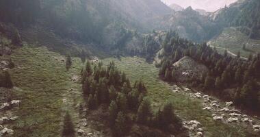 CGI Mountain valley view showcasing lush greenery and rocky terrain in daylight video