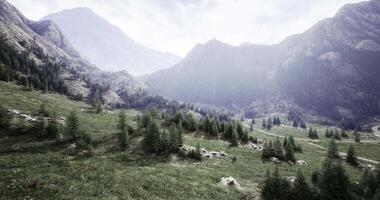 CGI Majestic mountain landscape with lush greenery under cloudy sky video