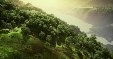 CGI Sunlit landscape with lush greenery and a flowing river in the background video