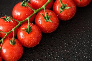 A close up view of fresh tomatoes on the vine with water droplets on a dark textured surface photo