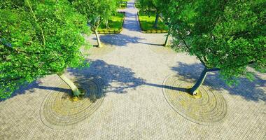 CGI Paths converge in a lush green park with vibrant trees and sunlight video