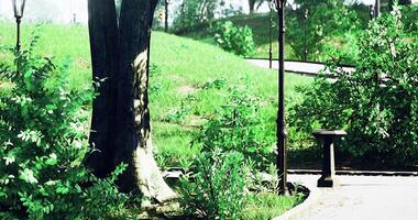 CGI Lush green park filled with trees, pathways, and lanterns on a sunny day video