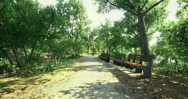 CGI Quiet afternoon stroll through a sunlit park with benches and greenery video