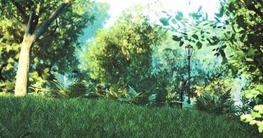 CGI Lush green landscape with sunlight filtering through trees in a serene park video