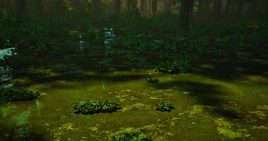 CGI Lush green pond surrounded by trees in a tranquil forest setting video