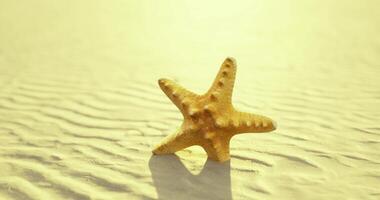 CGI Starfish rests on sandy beach with gentle waves during sunset video