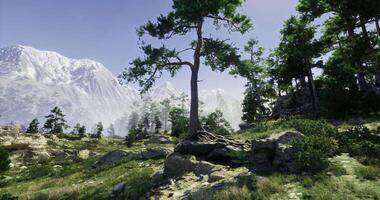 CGI Majestic mountains with tall trees and lush greenery under a clear sky video