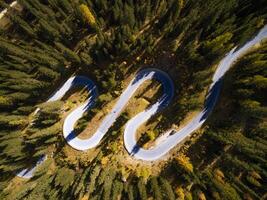 Aerial view of winding road through a dense forest with green trees and some autumn color leaves seen photo
