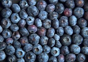 A close up of a pile of fresh blueberries showing their texture and color variations on a flat surface photo