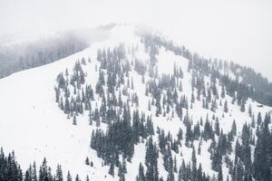 A snowy mountain covered in evergreen trees with fog and mist obscuring the mountain top view photo