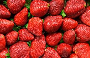 A close up view of a pile of fresh red strawberries with green stems and small seeds on their surface photo