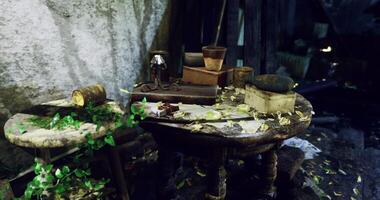 CGI An abandoned workspace features a rustic table covered in leaves and papers video
