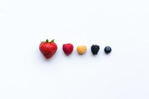 A line of various berries including strawberry raspberry golden raspberry blackberry and blueberry photo