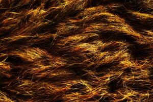 Close up view of golden brown grass or hay creating a textured and abstract background pattern design photo