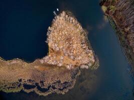 Aerial view of island with trees and boat in dark water on a sunny day in the fall season area photo