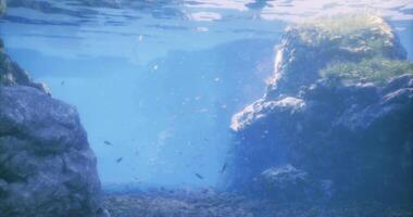 CGI Clear underwater view revealing rocks and aquatic life in a tranquil setting video