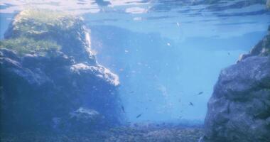 CGI Exploring the vibrant underwater landscape filled with rocks and clear water video