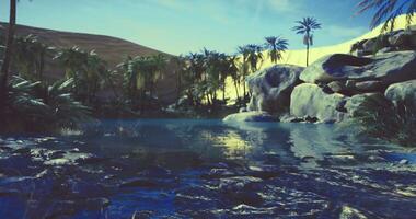 CGI Serene oasis with palm trees and water under a clear blue sky video