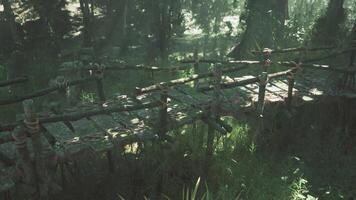 The CGI Old wooden footbridges built by aborigines in a dense jungle setting video