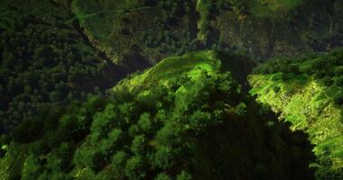 CGI Lush green hills with trees under bright sunlight in a mountainous landscape video