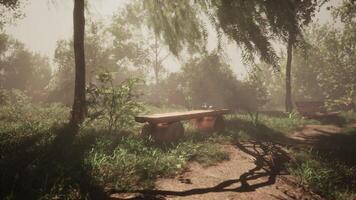 The CGI Serene park pathway with benches surrounded by lush greenery in daylight video