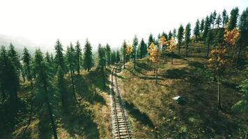 The CGI Scenic railway track winding through vibrant autumn forest in daylight video