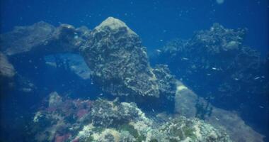The concept of CGI Underwater exploration reveals vibrant coral reefs and marine life video
