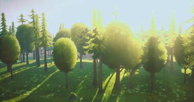 Magical CGI Sunlight filters through trees in a vibrant forest during midday video