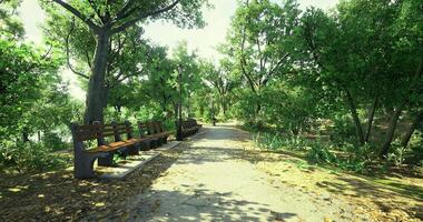 CGI Serene park pathway with benches surrounded by lush greenery in daylight video