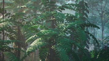 The cinematic CGI Verdant Forest Teeming With Trees video