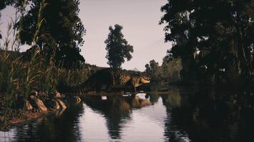 The CGI Crocodile resting by the waters edge in a tranquil natural setting video