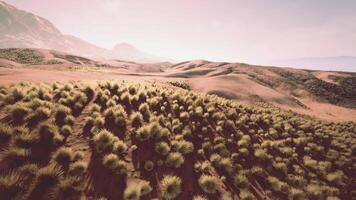 The cinematic CGI Desert landscape with low bushes surrounded by majestic mountains video