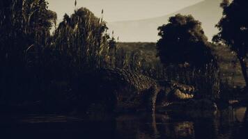 The cinematic CGI Crocodile resting by the waters edge in a tranquil natural setting video