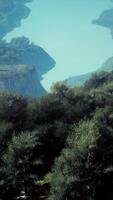 CGI Aerial top view of rainforest ecosystem and healthy environment video