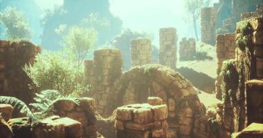 The CGI Ruins of an ancient civilization surrounded by lush greenery and sunlight video