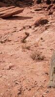 CGI Ancient Statue on the Rocks Desert video