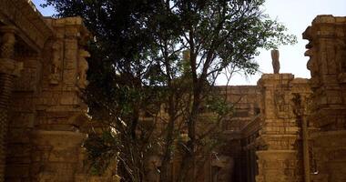 The art of CGI Ancient temple ruins surrounded by a large tree in bright sunlight video
