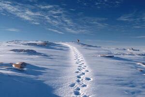 Footprints in fresh snow lead towards a distant figure on a snowy terrain, with bright blue skies and scattered clouds in the background photo